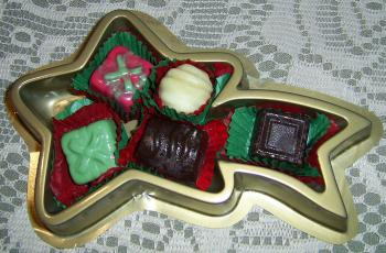 estrella navidena 1.JPG