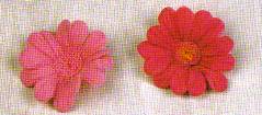 imagen_flores_de_azucar_margaritas2.jpg imagen_flores_de_azucar_margaritas2.jpg