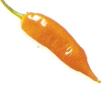 aji